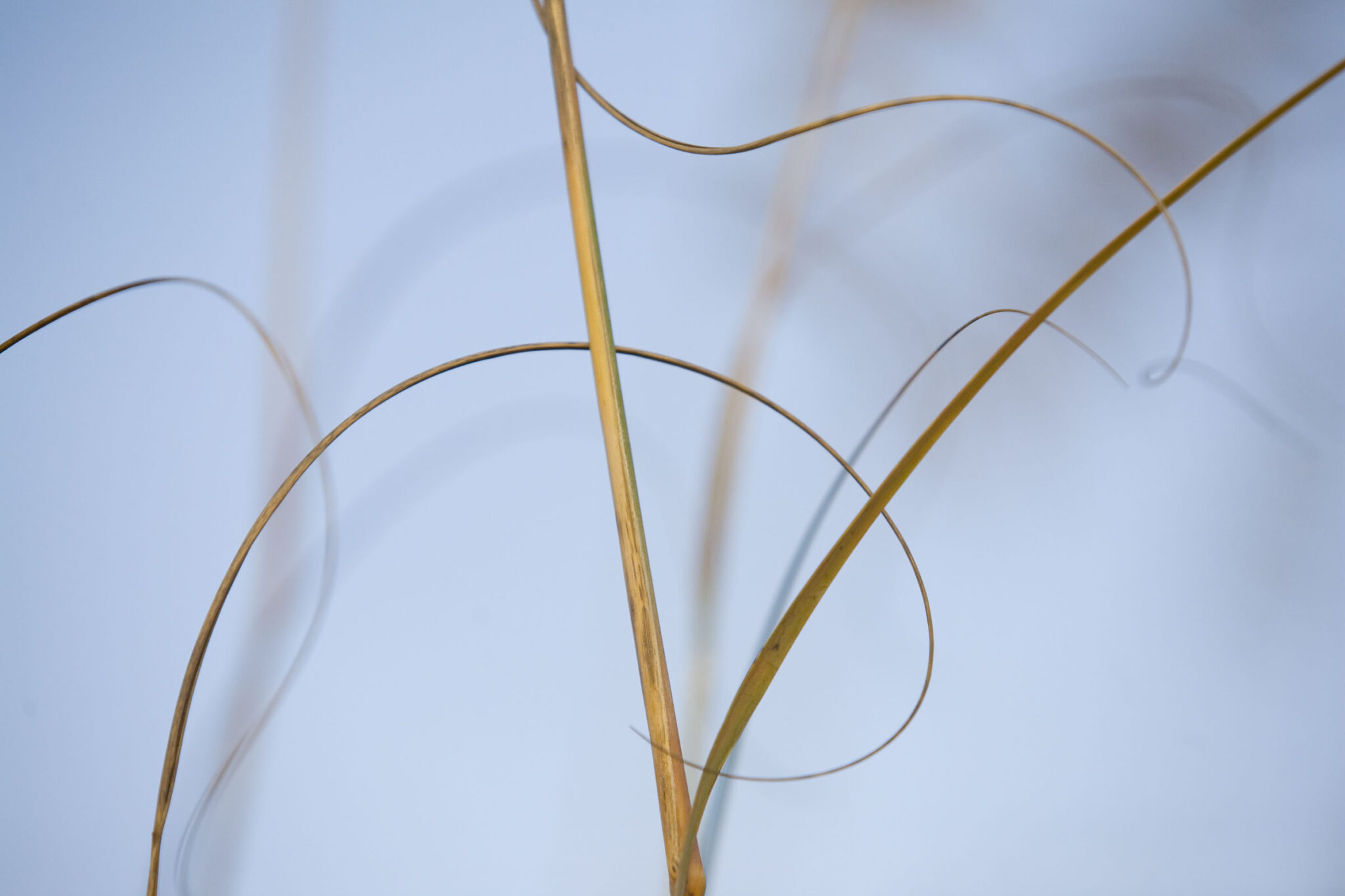 Karin Connolly Photography